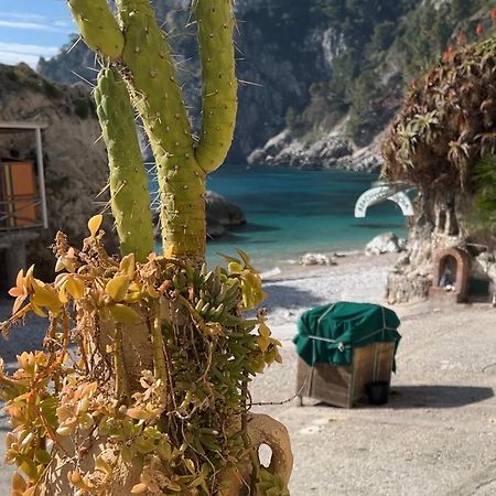 Capri Magic House On The Beach Buitenkant foto