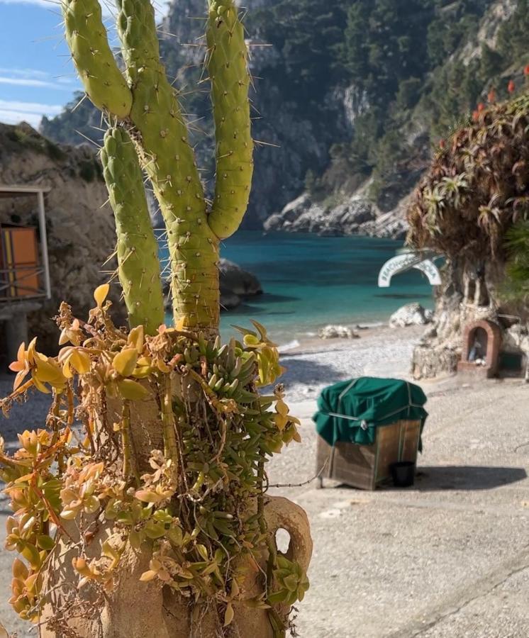 Capri Magic House On The Beach Buitenkant foto